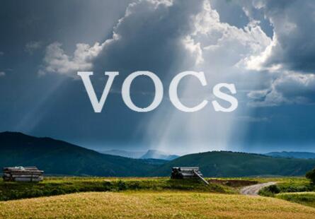 vocs在线监测