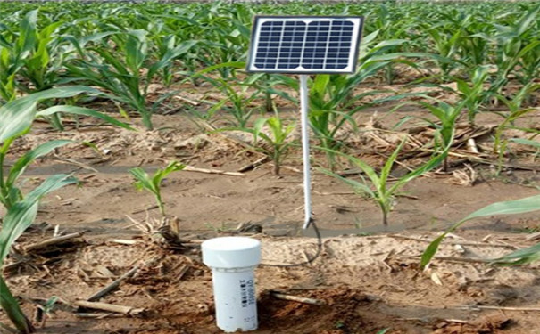 管式土壤墒情监测仪