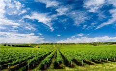智能土壤墒情监测系统带动农业经济发展